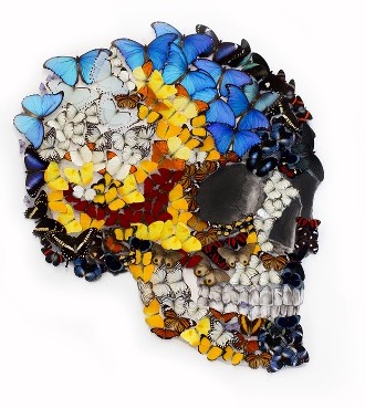 Butterflies skull - Acrylique sur papier et papillons naturalisés - 139 x 120 x 10 cm
