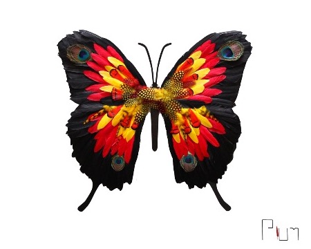 Ulysse - 80 x 70 cm - Plumes et dessin