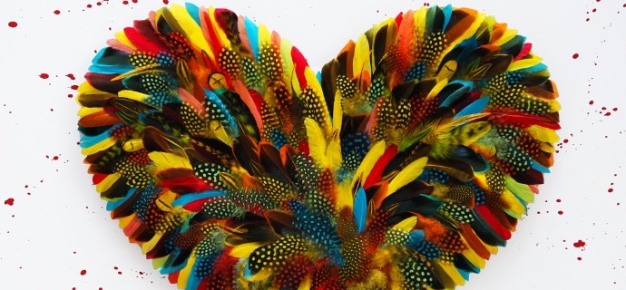 Sweet Little Jungle Love - Splash - 70 x 80 cm - Plumes et dessin